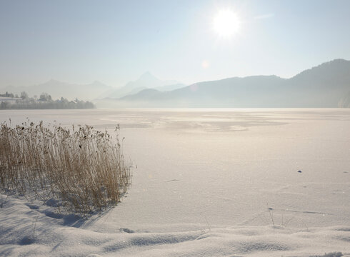 Das Bild zeigt eine Winterlandschaft. Im Fokus steht die gefrorene Wasseroberfläche des Weißensees, die mit Schnee bedeckt ist. Im Vordergrund des Bildes ist das Ufer zu sehen, dessen Schneedecke von Grasbüschel durchbrochen wird. Die gefrorene Wasseroberfläche ist von einer Reihe von Bäumen eingegrenzt. Im Hintergrund ragen majestätisch die Alpen in den hellblauen Himmel. Die Sonne scheint durch den zarten Nebel, der die Berge einhüllt.