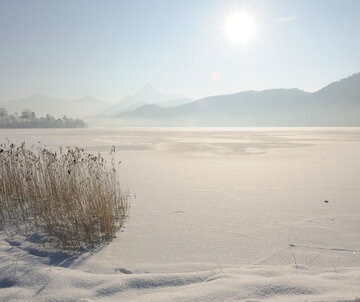 Das Bild zeigt eine Winterlandschaft. Im Fokus steht die gefrorene Wasseroberfläche des Weißensees, die mit Schnee bedeckt ist. Im Vordergrund des Bildes ist das Ufer zu sehen, dessen Schneedecke von Grasbüschel durchbrochen wird. Die gefrorene Wasseroberfläche ist von einer Reihe von Bäumen eingegrenzt. Im Hintergrund ragen majestätisch die Alpen in den hellblauen Himmel. Die Sonne scheint durch den zarten Nebel, der die Berge einhüllt. 