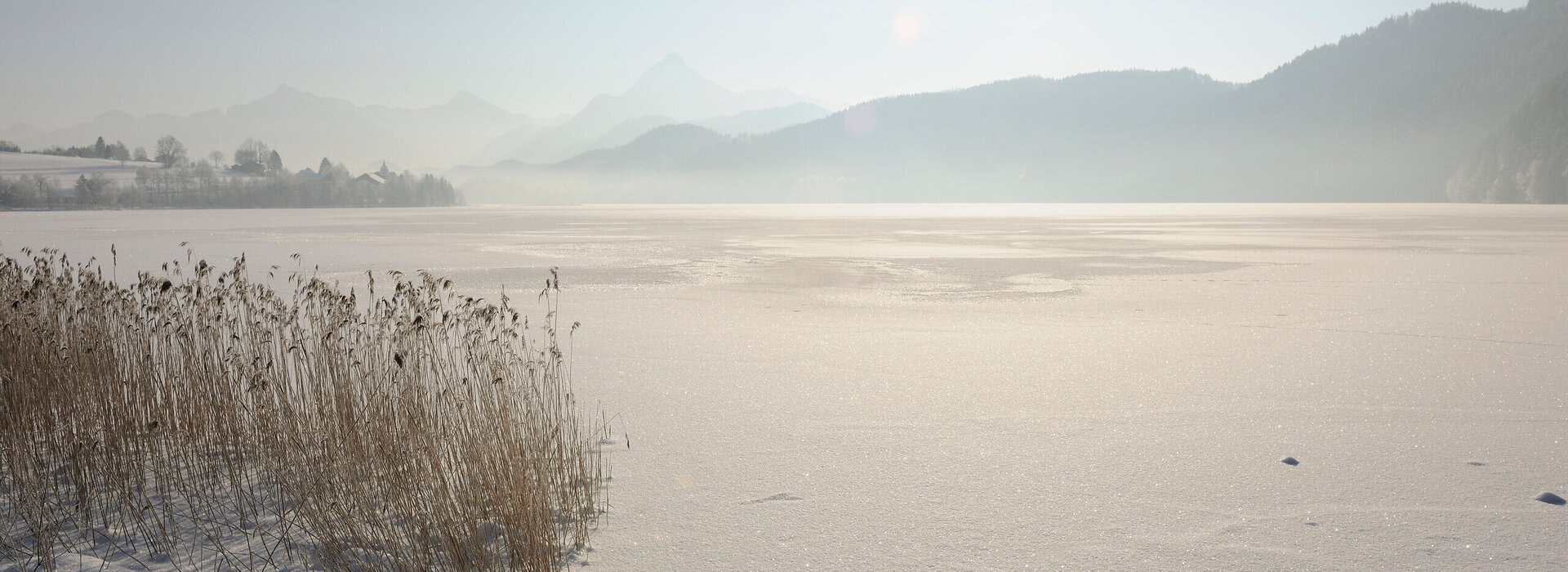 Das Bild zeigt eine Winterlandschaft. Im Fokus steht die gefrorene Wasseroberfläche des Weißensees, die mit Schnee bedeckt ist. Im Vordergrund des Bildes ist das Ufer zu sehen, dessen Schneedecke von Grasbüschel durchbrochen wird. Die gefrorene Wasseroberfläche ist von einer Reihe von Bäumen eingegrenzt. Im Hintergrund ragen majestätisch die Alpen in den hellblauen Himmel. Die Sonne scheint durch den zarten Nebel, der die Berge einhüllt. 