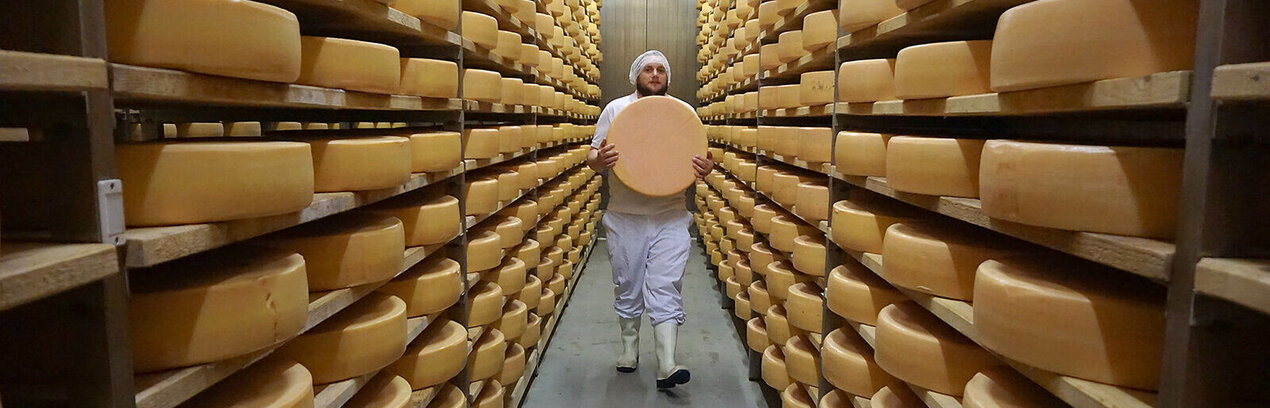Auf dem Bild sieht man den Innenraum einer Lagerhalle. An beiden Seiten sind sehr hohe Regale die mit Käselaiben gefüllt sind. In der Mitte läuft ein weiß gekleideter Mann mit einem großen runden Käselaib in den Händen. 