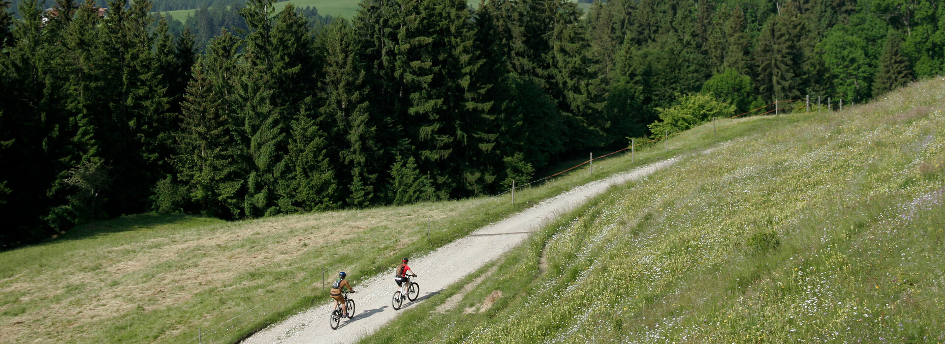 Das Bild zeigt zwei Personen, die mit dem Fahrrad auf einer unbefestigten Straße eine Anhöhe emporfahren. Sie tragen Sportkleidung und Helme. Im Tal sieht man unterschiedliche kleine Ortschaften, die von grünen Wiesen und Wälder umgeben sind. Im Hintergrund erheben sich schneebedeckte Berge und grün, bewaldete Hügel. Der Himmel ist blau. Die Sonne scheint. 