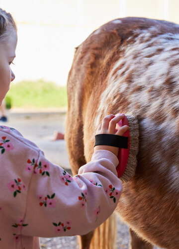 Das Bild zeigt ein Mädchen, das ein Pony striegelt. Das Mädchen trägt einen rosafarbenen Pullover und hält einen Striegel in der Hand. Das Pfred ist hellbraun mit weißen Punkten.