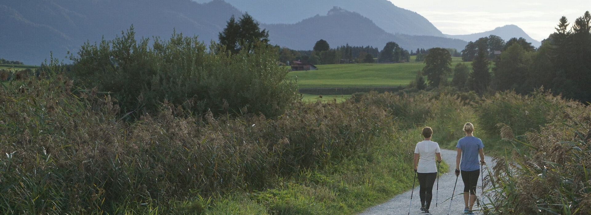 Zwei Frauen laufen vom Betrachter fort einen Kiesweg entlang. Um sie herum ist der Wegesrand gesäumt mit hohem Schilf. Die Frauen tragen leichte Sportkleidung und Nordic Walking Stöcke. In der Ferne erheben sich die majestätischen Berggipfel der Allgäuer Alpen.