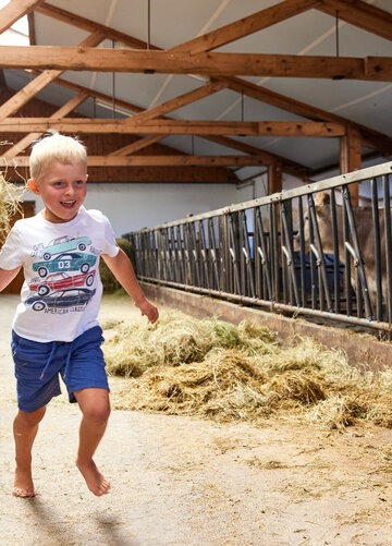 Das Bild zeigt einen fröhlichen Moment eines jungen Jungen, der durch ein Heuboden voller Heu läuft. Der Junge, der der Hauptgegenstand des Bildes ist, ist in der Mitte des Rahmens. Er hält ein großes Heu-Ballen in seinen Armen, was darauf hindeutet, dass er dabei helfen könnte, den Heuboden in Ordnung zu halten. Der Heuboden selbst ist geräumig und gut beleuchtet, mit Holzbalken und einem Metallzaun im Hintergrund sichtbar. Der Lächeln des Jungen und die allgemeine Atmosphäre des Bildes vermittelt ein Gefühl von Fröhlichkeit und Unbeschwertheit.