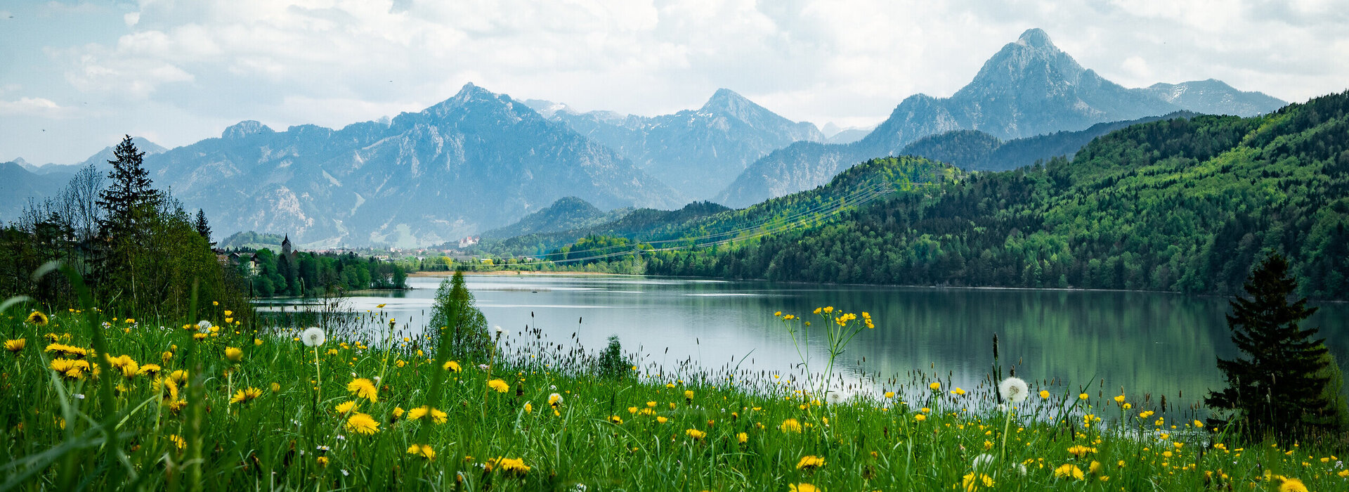 Das Bild zeigt den ruhig daliegenden Weißensee, der den blauen Himmel spiegelt. Im Hintergrund erheben sich majestätische Berge. Der See wird von saftig grünen Wiesen umgeben, die mit unzähligen gelben Löwenzahlblüten übersät sind. 