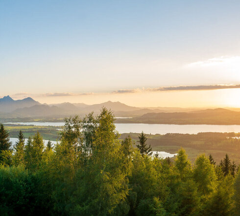 Das Bild fängt ein atemberaubendes Panorama einer gebirgigen Landschaft unter einem klaren blauen Himmel ein. Die Sonne geht unter und wirft ein warmes Licht auf die Szene. Die Berge, mit ihrem majestätischen Gipfeln, dominieren die Hintergrundlandschaft, ihre Silhouetten stechen gegen den Himmel hervor. Im Vordergrund spiegelt sich ein ruhiger See, der Bannwaldsee, der den Frieden der Szene unterstreicht. Der See wird von üppigen grünen Bäumen umgeben, deren Blätter sanft in dem leichten Wind rauschen. 