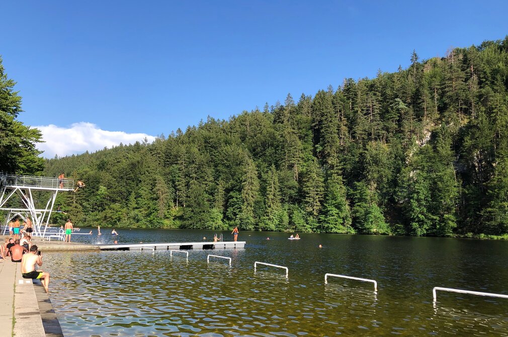Das Bild zeigt eine lebendige Szene am Obersee. Der See ist von einem grünen Wald umgeben. Eine Gruppe von Menschen kann dabei beobachtet werden, wie sie sich im Wasser vergnügen, wobei einige schwimmen und andere sich am Ufer ausruhen. Am See befindet sich auch ein Sprungturm, der gerade von einigen Personen genutzt wird. Das Wasser hat einen lebhaften Blauton, der den klaren Himmel über ihm spiegelt. Das Ufer ist mit einem asphaltierten Weg gesäumt, wo weitere Personen beim Ausruhen und Genießen des Ausblicks beobachtet werden.