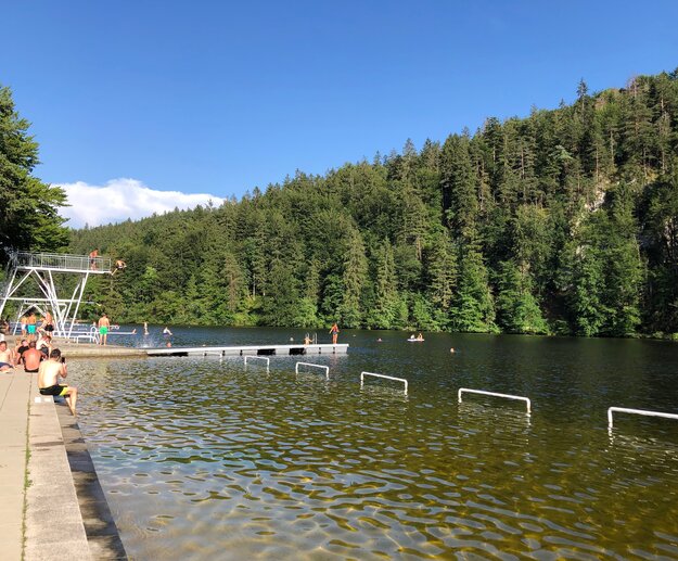 Das Bild zeigt eine lebendige Szene am Obersee. Der See ist von einem grünen Wald umgeben. Eine Gruppe von Menschen kann dabei beobachtet werden, wie sie sich im Wasser vergnügen, wobei einige schwimmen und andere sich am Ufer ausruhen. Am See befindet sich auch ein Sprungturm, der gerade von einigen Personen genutzt wird. Das Wasser hat einen lebhaften Blauton, der den klaren Himmel über ihm spiegelt. Das Ufer ist mit einem asphaltierten Weg gesäumt, wo weitere Personen beim Ausruhen und Genießen des Ausblicks beobachtet werden.