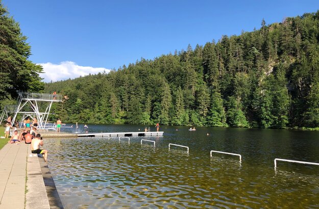 Das Bild zeigt eine lebendige Szene am Obersee. Der See ist von einem grünen Wald umgeben. Eine Gruppe von Menschen kann dabei beobachtet werden, wie sie sich im Wasser vergnügen, wobei einige schwimmen und andere sich am Ufer ausruhen. Am See befindet sich auch ein Sprungturm, der gerade von einigen Personen genutzt wird. Das Wasser hat einen lebhaften Blauton, der den klaren Himmel über ihm spiegelt. Das Ufer ist mit einem asphaltierten Weg gesäumt, wo weitere Personen beim Ausruhen und Genießen des Ausblicks beobachtet werden.