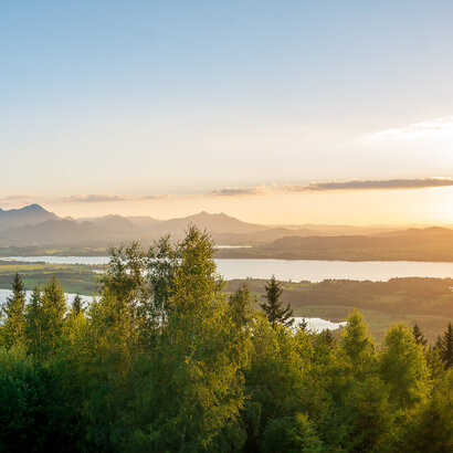 Das Bild zeigt einen Sonnenuntergang mit Blick vom Buchenberg auf das wunderschöne Voralpenland. Auf dem Bild ist ein See und schöne Wälder zu sehen. 