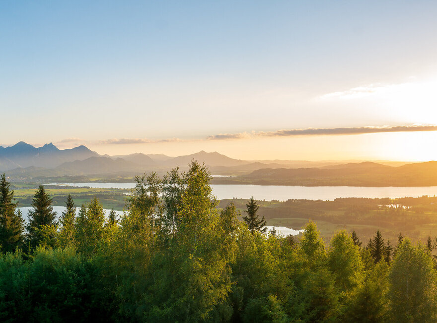 Das Bild zeigt einen Sonnenuntergang mit Blick vom Buchenberg auf das wunderschöne Voralpenland. Auf dem Bild ist ein See und schöne Wälder zu sehen. 
