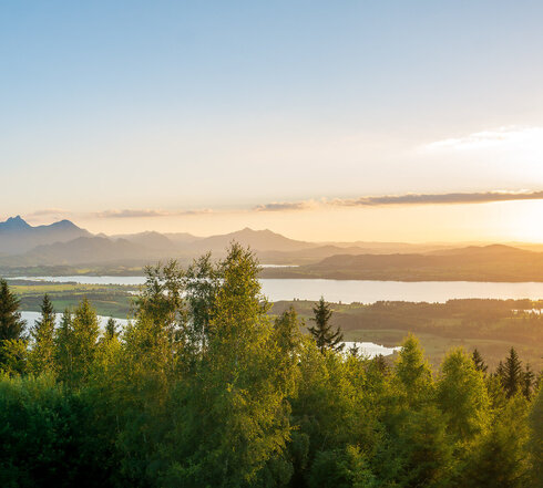 Das Bild zeigt einen Sonnenuntergang mit Blick vom Buchenberg auf das wunderschöne Voralpenland. Auf dem Bild ist ein See und schöne Wälder zu sehen. 