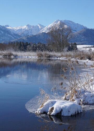 Das Bild fängt eine friedliche Winterlandschaft ein. Der Hopfensee, dessen Oberfläche ein tiefes Blau aufweist, schlängelt sich durch die Landschaft. Der See wird von einer schneebedeckten Böschung begrenzt, wo Gräser und Sträucher durch die Schneedecke hervorblitzen. Das ruhige Wasser des Flusses reflektiert die umgebende Landschaft. In der Ferne erheben sich majestätische Berge gegen den Himmel, deren Gipfel mit Schnee bedeckt sind. 
