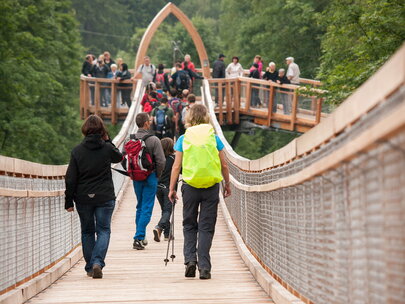 Das Bild zeigt zahlreiche Personen, die auf dem Baumkronenweg laufen. Der Weg ist mit einem hohen Geländer links und rechts des Weges gesichtet. Im Hintergrund ist eine Plattform zu sehen, zu der der Weg führt. Rundherum wachsen hohe Bäume. 