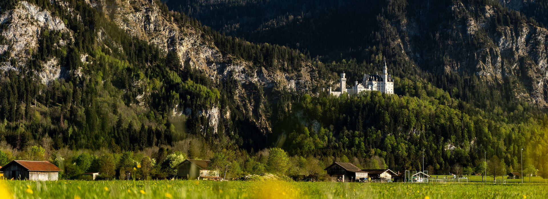 Schloss Neuschwanstein im April mit dem majestätischen Säuling im Hintergrund