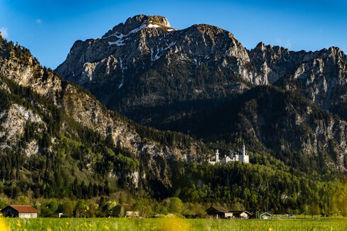 Schloss Neuschwanstein im April mit dem majestätischen Säuling im Hintergrund