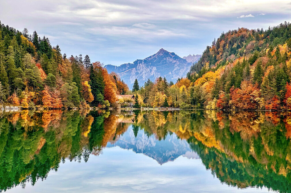 Das Bild fängt eine idyllische Herbstszene perfekt ein. Das Hauptmotiv des Bildes ist ein ruhiger See, der Alatsee, dessen Oberfläche ein Spiegelbild der umliegenden Landschaft ist. Der See liegt eingebettet in einen Wald aus Bäumen, deren Blätter eine lebendige Mischung aus orange, gelb und grünem Farben haben, typisch für die Herbstzeit. Der Wald erstreckt sich in die Ferne, erzeugt ein Gefühl von Tiefe und Weite. Im Hintergrund erheben sich majestätische Berge, deren Gipfel teilweise von einer Wolkenschicht verdeckt sind. Der Himmel über dem See ist ein klarer blauer Farbton, und er rundet das Gesamtbild der Szene ab. 