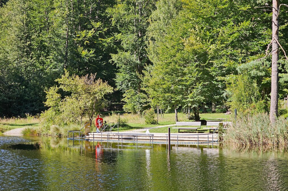 Das Bild zeigt das Ufer eines Sees. Das Bild ist vom See aus aufgenommen. Der ufernahe Wasserbereich ist mit einer dunkelblauen, schnurartigen Wasserabgrenzung gekennzeichnet. Innerhalb des abgegrenzten Bereichs sind Geländer parallel zum Ufer angebracht.  Vom Ufer führen Stufen ins Wasser. Am Ufer stehen zwei Bänke. Im Hintergrund ragen hohe, grüne Laubbäume in die Höhe. 