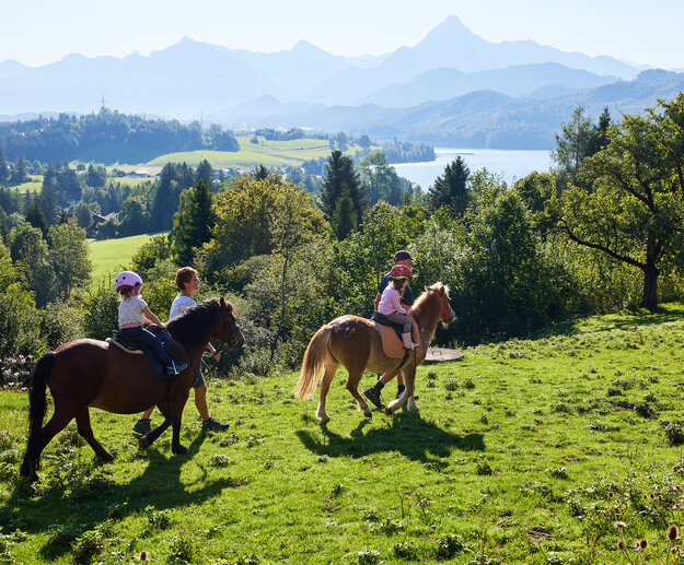  Das Bild fängt eine beschauliche Szene von drei Kindern ein, die auf Pferden in einem saftig grünen Feld reiten. Die Kinder sind der Hauptfokus des Bildes. Das Pferd auf der linken Seite ist eine dunkelbraune Farbe, während das Pferd in der Mitte eine hellere braune Farbe hat. Das Pferd auf der rechten Seite ist eine hellbeige Farbe. Die Kinder tragen alle Helme zum Schutz.  Das Feld, in dem sie reiten, ist ein lebendiges Grün, was darauf hinweist, dass es gut gepflegt ist und möglicherweise zu einer Farm oder Ranch gehört. Im Hintergrund befindet sich ein schöner See, der zur Ruhe der Szene beiträgt.  Der Himmel über ihr ist ein klares Blau, was darauf hinweist, dass es ein sonniger Tag ist. Die Berge in der Ferne bilden eine atemberaubende Kulisse für das Bild. Die Gesamtzusammensetzung des Bildes suggeriert eine friedliche und idyllische Umgebung, perfekt für einen Ausritt.