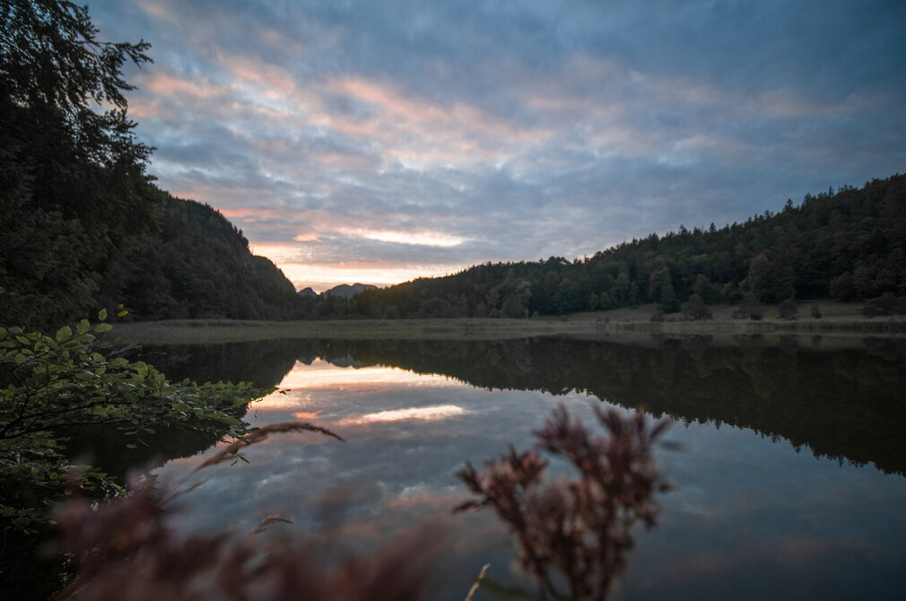 Das Bild zeigt eine friedvolle Szenerie am Obersee bei Sonnenuntergang. Der orange und rosa gefärbte Himmel spiegelt sich auf dem ruhigen Wasser wider. Der See ist von üppigen grünen Bäumen und Büschen umgeben, welches der Szene einen Hauch der Naturfülle verleiht. 