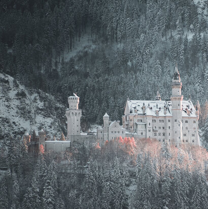 Das Bild zeigt eine Winterszene. Auf einer verschneiten, bewaldeten Anhöhe steht das weiße und schneebedeckte Schloss Neuschwanstein. Hinter dem Schloss erhebt sich verschneiter Berg. Die Abendsonne taucht die Szenerie in ein teilweise rötliches Licht. 