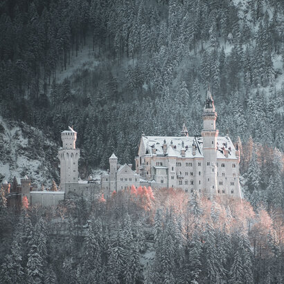 Das Bild zeigt eine Winterszene. Auf einer verschneiten, bewaldeten Anhöhe steht das weiße und schneebedeckte Schloss Neuschwanstein. Hinter dem Schloss erhebt sich verschneiter Berg. Die Abendsonne taucht die Szenerie in ein teilweise rötliches Licht. 