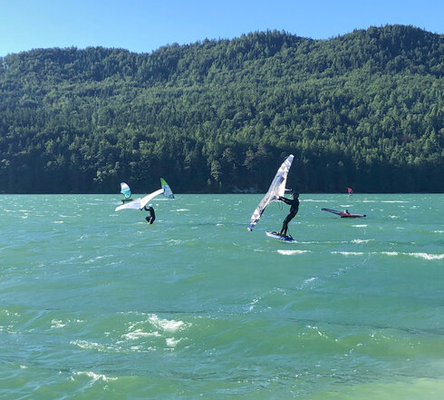 Das Bild zeigt mehrere Windsurfer, die bei unruhigem Wasser surfen. Im Hintergrund erheben sich bewaldete Hügel am Ufer. Der Himmel ist blau. Die Sonne scheint.  