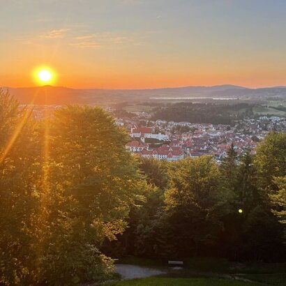 Das Foto zeigt Füssen von oben. Die Szene wird durch die Abendsonne in ein warmes Licht getaucht. Man sieht die roten Dächer und die weißen Fassaden der Stadt. Das Foto ist von einer Anhöhe aus aufgenommen. Der Blick auf die Stadt ist gesäumt von grünen Laubbäumen. Im Hintergrund sieht man die sanfte Hügellandschaft des Voralpenlandes.  
