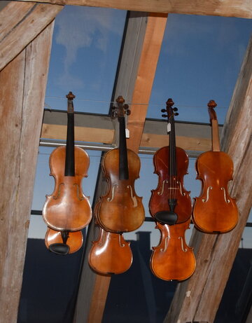 Das Foto zeigt eine Reihe reparaturbedürftiger Geigen vor dem Dachfenster in der Geigenbauerwerkstatt von Pierre und Eric Chaubert in Füssen im Allgäu.