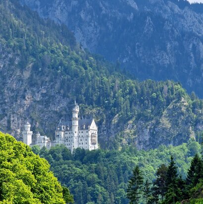 Das Bild zeigt eine Frühlingsszene. Auf einer verschneiten, bewaldeten Anhöhe steht das weiße Schloss Neuschwanstein. Hinter dem Schloss erhebt sich teilweise bewaldeter Berg. Zwischen den Bäumen ist auch immer wieder der rohe Fels zu sehen. Die Sonne scheint. Der Himmel ist wolkenverhangen. 