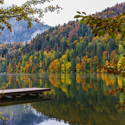 Das Bild zeigt einen hölzernen Steg, der über den Uferbereich des Schwansees hinausragt. Der Steg ist aus Holzbohlen gebaut und befindet sich auf der linken Seite des Bildes. Er ist von üppigen grünen Bäumen und Büschen umgeben, der Laub der Bäume ist schon ein wenig in Gelb und Orangetöne gefärbt und deutet somit auf den beginnenden Herbst hin. Das Wasser ist blau und spiegelt die umliegende Landschaft wider. Der Himmel ist blau. 