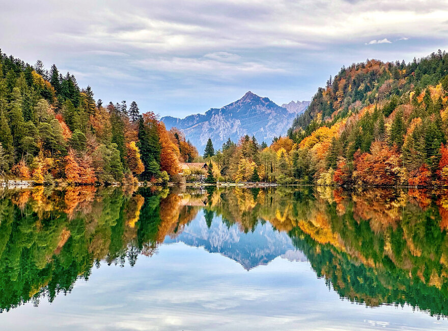 Das Bild fängt eine idyllische Herbstszene perfekt ein. Das Hauptmotiv des Bildes ist ein ruhiger See, der Alatsee, dessen Oberfläche ein Spiegelbild der umliegenden Landschaft ist. Der See liegt eingebettet in einen Wald aus Bäumen, deren Blätter eine lebendige Mischung aus orange, gelb und grünem Farben haben, typisch für die Herbstzeit. Der Wald erstreckt sich in die Ferne, erzeugt ein Gefühl von Tiefe und Weite. Im Hintergrund erheben sich majestätische Berge, deren Gipfel teilweise von einer Wolkenschicht verdeckt sind. Der Himmel über dem See ist ein klarer blauer Farbton, und er rundet das Gesamtbild der Szene ab. 