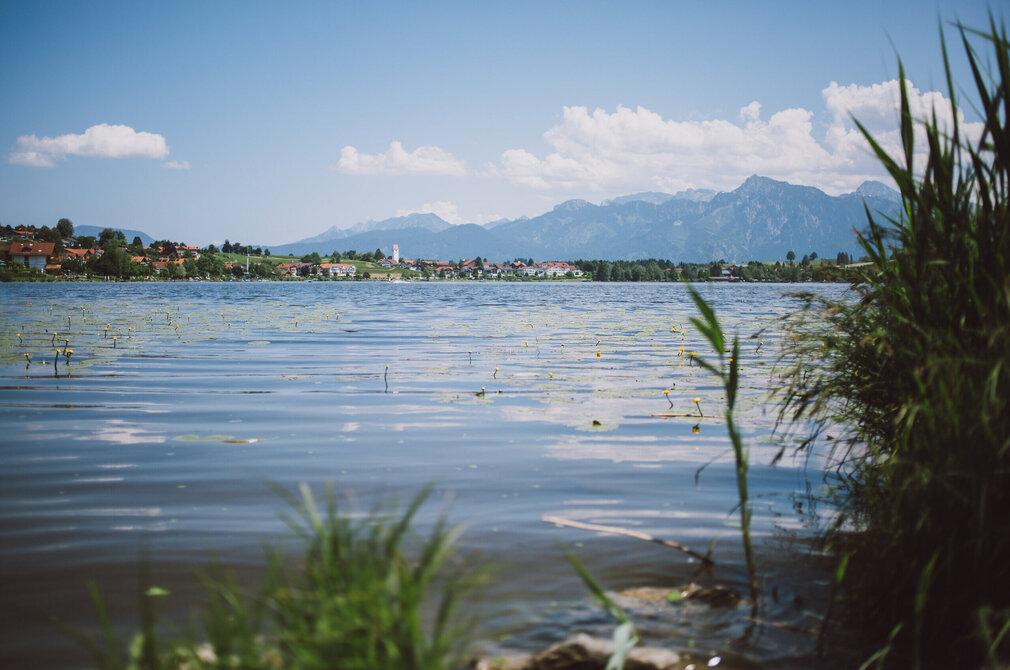 Das Bild erfasst eine ruhige Idylle am Ufer des Hopfensees. Der See, der im Mittelpunkt der Aufnahme steht, ist von duftigem Grün und einigen Bäumen umgeben. Das Wasser des Sees ist glatt, es spiegelt den klaren Himmel darüber wider. In der Ferne ist der Ort Hopfen zu erkennen. Der Himmel ist durch einige Wolken strukturiert und die Sonne scheint hell, was eine wohlige Wärme über die ganze Szene legt. 