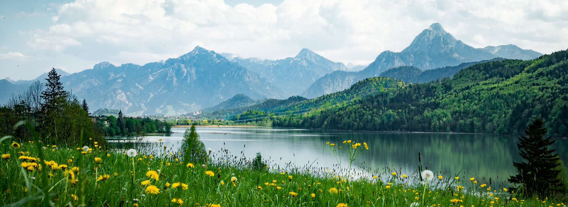 Das Bild zeigt den ruhig daliegenden Weißensee, der den blauen Himmel spiegelt. Im Hintergrund erheben sich majestätische Berge. Der See wird von saftig grünen Wiesen umgeben, die mit unzähligen gelben Löwenzahlblüten übersät sind. 