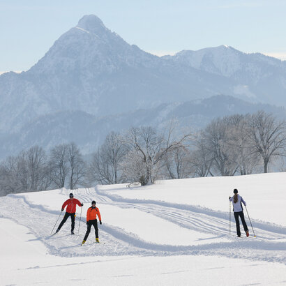 Das Bild zeigt drei Personen beim Ski-Langlauf. Eine Person fährt auf einer Loipe vom Betrachter weg. Zwei weitere Personen fahren auf eine parallel dazu laufenden Loipe zum Betrachter hin. Im Hintergrund erheben sich die schneebedeckten Berge. Die Landschaft ringsum ist tief verschneit. Der Himmel ist blau. Die Sonne scheint. 