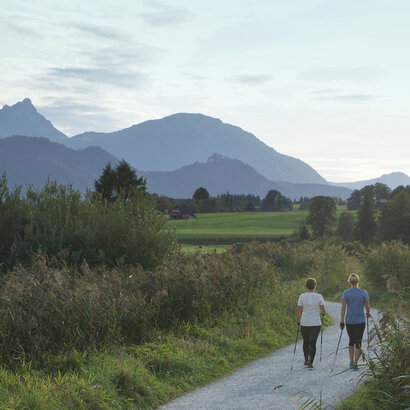 Zwei Frauen laufen vom Betrachter fort einen Kiesweg entlang. Um sie herum ist der Wegesrand gesäumt mit hohem Schilf. Die Frauen tragen leichte Sportkleidung und Nordic Walking Stöcke. In der Ferne erheben sich die majestätischen Berggipfel der Allgäuer Alpen.