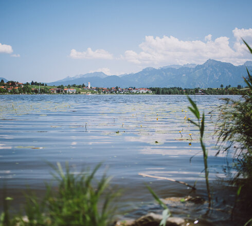  Das Bild erfasst eine ruhige Idylle am Ufer des Hopfensees. Der See, der im Mittelpunkt der Aufnahme steht, ist von duftigem Grün und einigen Bäumen umgeben. Das Wasser des Sees ist glatt, es spiegelt den klaren Himmel darüber wider. In der Ferne ist der Ort Hopfen zu erkennen. Der Himmel ist durch einige Wolken strukturiert und die Sonne scheint hell, was eine wohlige Wärme über die ganze Szene legt. 