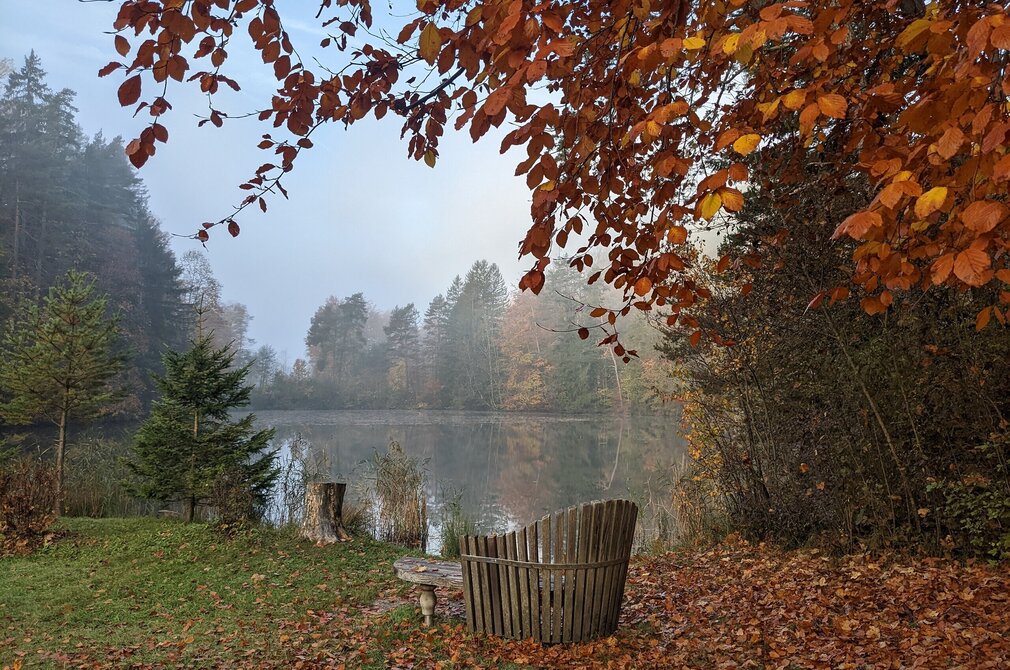 Das Bild zeigt eine Holzbank, die vor einem See steht. Der See ist umgeben von Bäumen, deren Blätter sich gelb, orange und rot gefärbt haben. Der Himmel ist blau. Ein leichter Nebel schwebt noch über dem See. Der Boden um die Bank ist mit buntem Laub bedeckt. 