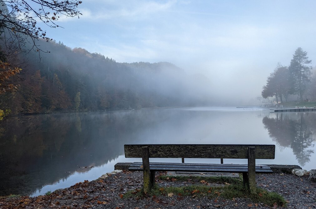 Das Bild zeigt eine Holzbank, die am Ufer des Obersees steht. Die Bank ist leer und bietet Besuchern einen ruhigen Ort, um die Aussicht zu genießen. Das Wasser spiegelt die umliegenden Bäume und den bedeckten Himmel wider und verleiht der Szene eine beruhigende Atmosphäre. Die Bäume haben gelbe und rote Blätter und ragen im Hintergrund auf. Der Himmel ist bedeckt und wirft ein weiches Licht über die gesamte Szene. 