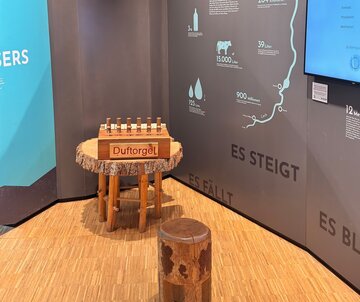 Die Abbildung zeigt eine Innenansicht, möglicherweise ein Museum oder eine Ausstellungsfläche. Der zentrale Fokus ist eine große, informativ gestaltete Anzeigetafel mit einer Karte und Text in deutscher Sprache. Die Karte zeigt einen Fluss mit der Bezeichnung "WASSER", sowie eine Reihe von Zahlen und Symbolen, die Entfernungen und möglicherweise historische oder geografische Informationen anzeigen.  Vor der Anzeigetafel sind zwei hölzerne Sitzgelegenheiten vorhanden, die den Besuchern Gelegenheit bieten, die Informationen zu studieren. Links von der Anzeigetafel befindet sich ein blauer Schild mit weißer Schrift, allerdings ist der Text auf dem Bild nicht lesbar.  Der Boden ist aus Holz, und die Atmosphäre des Raumes ist bildungsorientiert und informativ, um Besucher mit der ausgestellten Information zu beschäftigen. Der Stil der Abbildung ist ein geradliniger, künstlerisch einfacher Fotograf, der die Details der Anzeige und ihrer Umgebung einfängt.