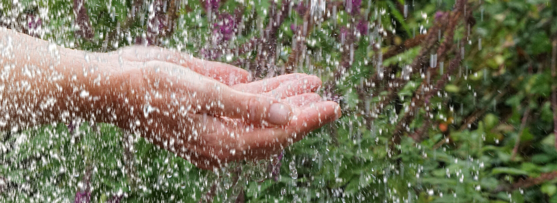 Zwei Hände werden mit der Handfläche nach oben geöffnet in das Bild gehalten. Von oben regnen zahlreiche Wassertropfen auf die Hände herab. Im Hintergrund sind blühende Pflanzen und Kräuter zu erkennen.