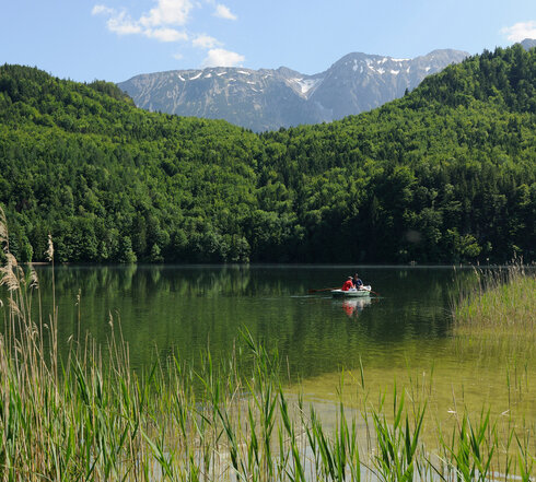 Das Bild zeigt zwei Personen, die in einem Ruderboot sitzen, das auf einem See schwimmt. Im Hintergrunderheben sich bewaldete Hügel, dahinter hohe Berge. Im Vordergrund befindet sich ein Schildgürtel. Der See liegt ganz ruhig da. Der Himmel ist blau. Die Sonne scheint. 