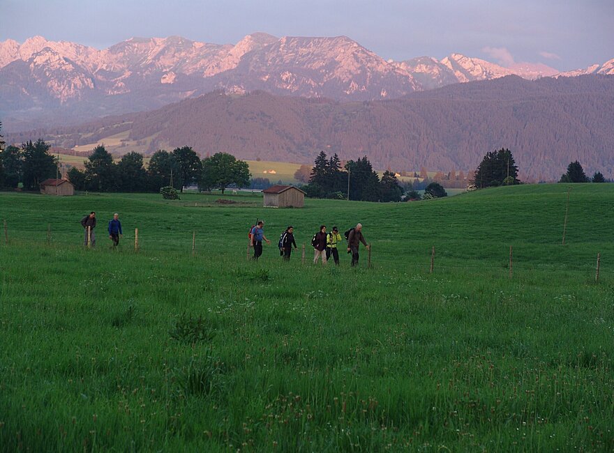 Das Foto zeigt die Teilnehmer*innen einer Wanderpressereise bei einer Tour nordwestlich vom Forggensee bei Füssen im Allgäu. Im Hintergrund sieht man das Gipfelpanorama der Ammergauer Alpen.