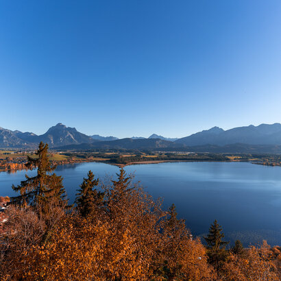 Das Herbstfoto zeigt die Aussicht auf den Hopfensee und die Alpengipfel rund um Füssen im Allgäu von der Burgruine Hopfen aus.