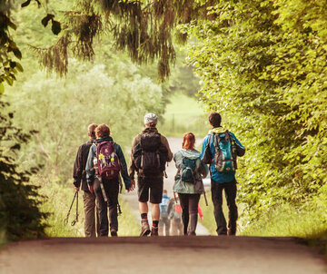 Das Bild zeigt mehrere Personen in Wanderkleidung und Rucksäcken, die vom Betrachter weggehen. Sie wandern auf einen bewaldeten unbefestigten Weg. Eine Person trägt Wanderstöcke. Sie Sonne taucht die Szenerie in warmes Licht.  