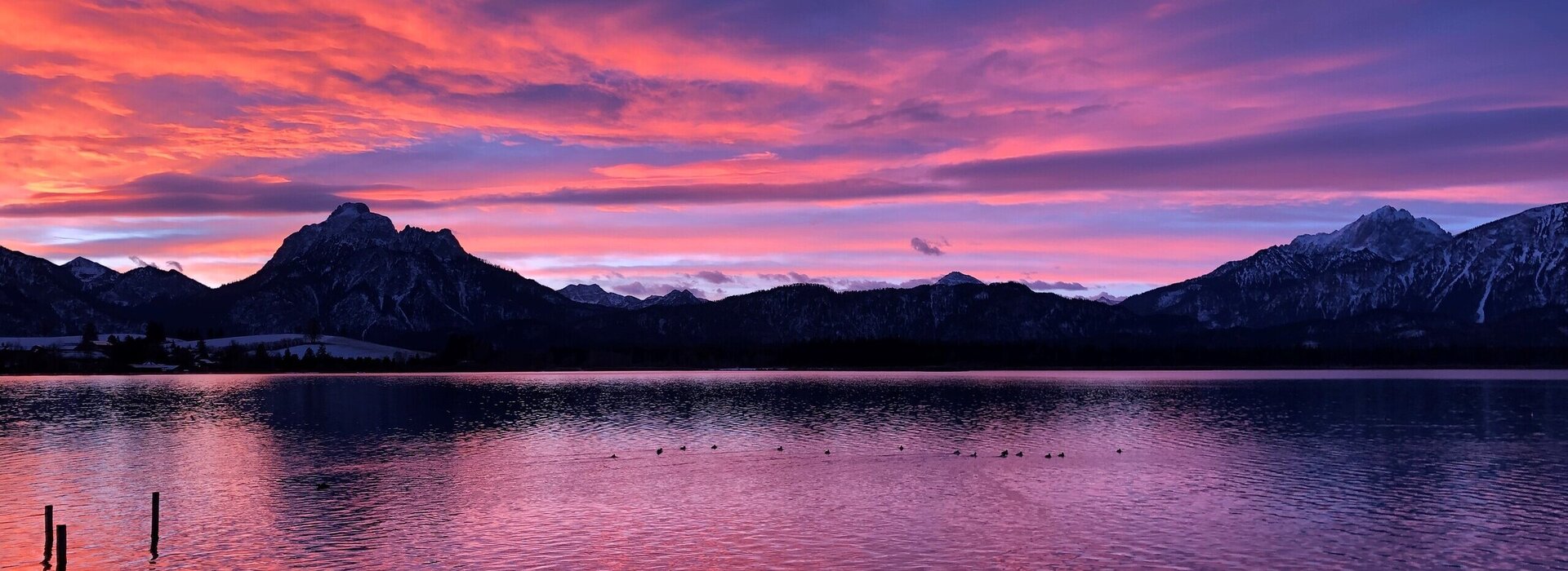 Das Bild zeigt eine romantische Stimmung am Hopfensee, da sich der Himmel in lilafarbenen Nuancen über dem See gefärbt hat, vermutlich weil gerade die Sonne hinter den Bergen aufgeht.
