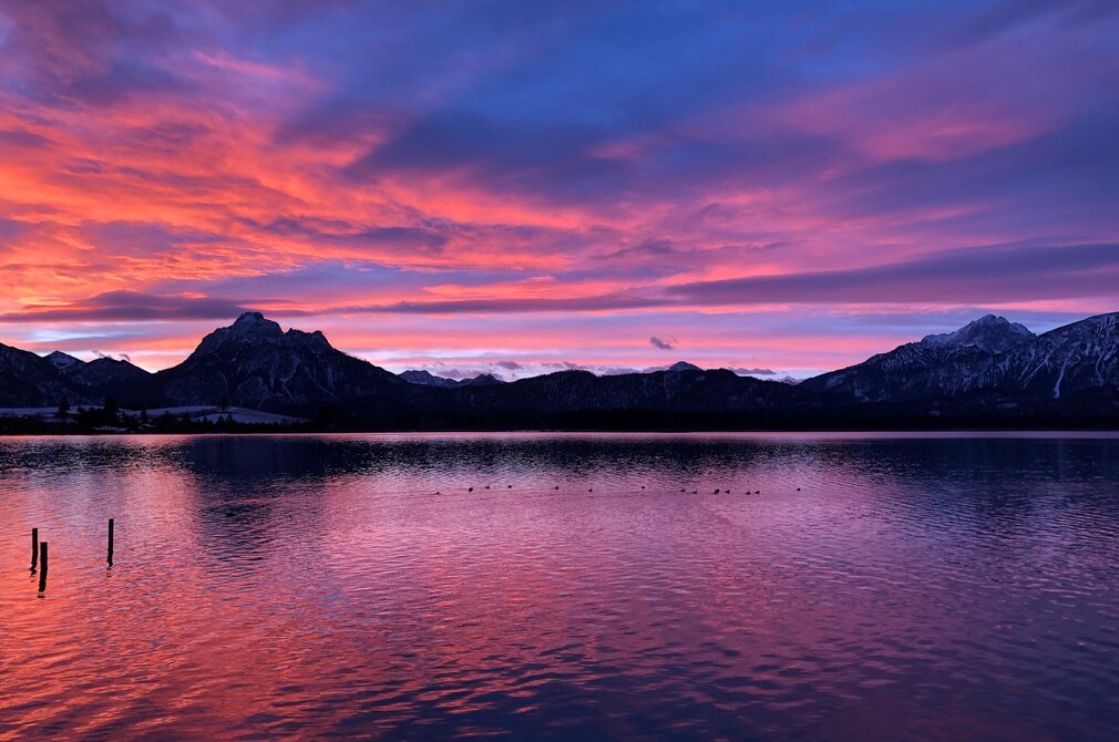Das Bild zeigt eine romantische Stimmung am Hopfensee, da sich der Himmel in lilafarbenen Nuancen über dem See gefärbt hat, vermutlich weil gerade die Sonne hinter den Bergen aufgeht.