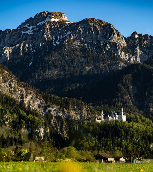 Schloss Neuschwanstein im April mit dem majestätischen Säuling im Hintergrund
