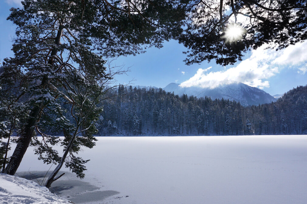 Das Bild fängt eine friedliche Winterlandschaft ein. Der Vordergrund wird dominiert von einer schneebedeckten Landschaft, mit alten Bäumen, die an einem Seeufer stehen. Bei dem See handelt es sich um den teilweise zugefroren Alatsee. Im Hintergrund erheben sich majestätische Berge gegen den Himmel, deren Spitzen mit Schnee bedeckt sind. Der Himmel selbst ist ein wunderschöner Hintergrund aus Blau, mit flauschigen weißen Wolken. Die Sonne scheint hell, und wirft ein warmes Licht auf die ganze Szene.
