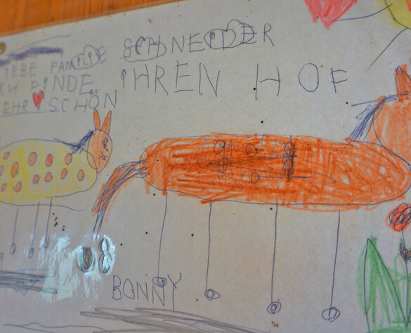 Blog Vorschaubild - Ferienhof Schneider